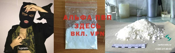spice Алзамай