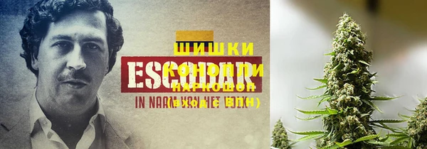 spice Алзамай